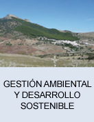 Gestión ambiental y desarrollo sostenible