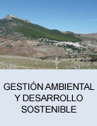 Gestión ambiental y desarrollo sostenible