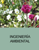 Ingeniería ambiental y paisajismo