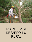 Ingeniería de desarrollo rural